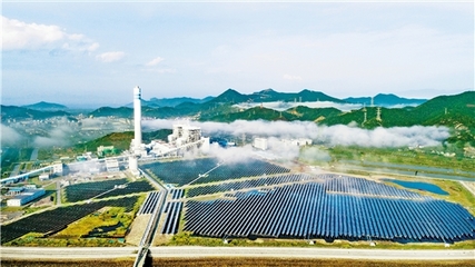 浙江能源主力軍的綠色轉型之路 環保技術創新助力減碳
